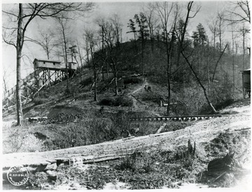 Forrested area with building in the background.