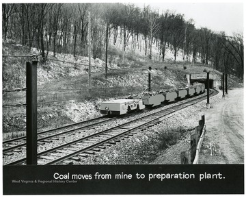 Miner drives a train of loaded coal cars from the entrance of Mathies Mine to the preparation plant.