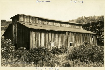 Wooden barn amongst foliage.