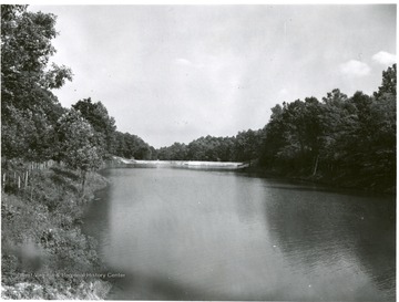 A pond surrounded by trees and foliage.  Water source for the tipple at Jamison No. 9 mine and mine water-supply dam.