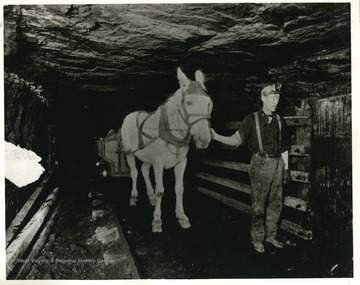 Hutchinson Mine is located in Marion County.