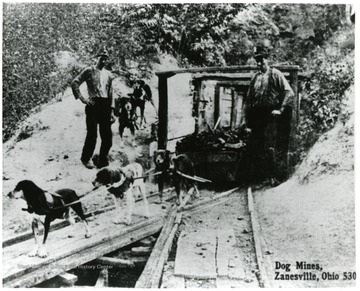 Two miners watching dogs haul loads of coal.