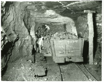 Miners shovel coal into carts for hauling out of mine.