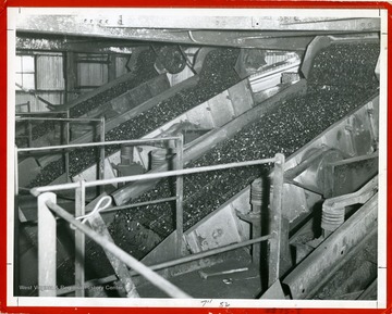 Coal moving across three vibrating screens.