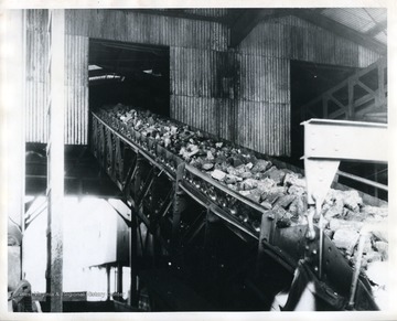 'It is any wonder White Oak is said to be the best prepared domestic coal marketed from W. VA., when you look at this picture of White egg coal taken as it is being loaded inot a a railroad car? Perfectly sized; perfectly screened and quality unsurpassed. No wonder it is the most popular sized coal sold in the domestic market.'