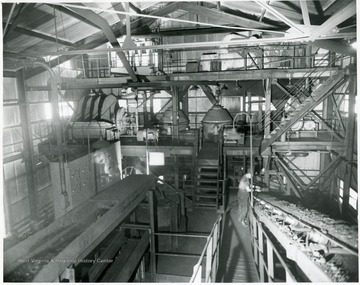 Miner examines coal traveling down a conveyor inside the Hutchinson Preparation Plant, Pittsburgh Consolidation Coal Company.