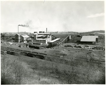 Disco fuel brought by conveyor to screen house and loading boom (shown), where blended and sized for market. At right, ascending conveyor.