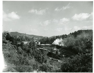 View of the plant from a distance.