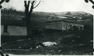 View of barracks and a tree behind the barracks at Carolina.