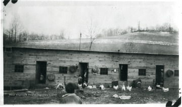 Children in barracks look at the chickens.