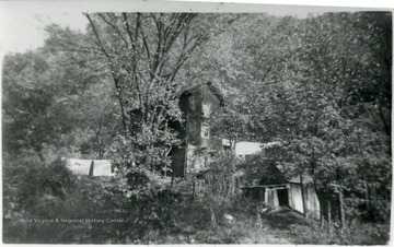 Houses among trees.