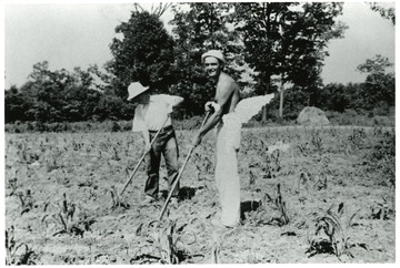 Two friends are working in a garden.