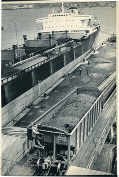 'A brakeman rides a coal car up an incline to the dumping area where the coal will be loaded onto the Greek freighter in the background. Pennsylvania mine operators have found it difficult to move their coal to the lucrative foriegn markets because of problems with the railroad system and the jammed port of Philadelphia. (AP Laserphoto) (chm31721stf-murray) 1981 Slug Words: Moving Coal.'