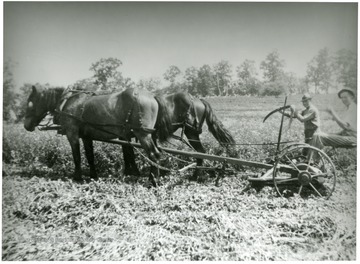 Johnny A. Dahmer is on the horse-powered mower.  John Dahmer stands with the scythe.