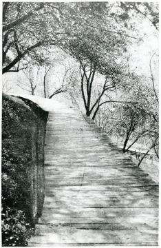 View of wooden planked walkway 'Lovers Lane' in Webster County. 'No one ever comes to Webster Springs who foregoes the pleasure of making out on Lovers Lane.' Echo, May 13, 1910.