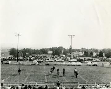 Five horses are participating in a horse show at the Buckwheat Festival in Preston County, West Virginia.