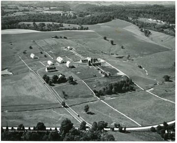 'The West Virginia University Animal Husbandry Farm on Stewartstown Road has been a headquarters for livestock research in West Virginia for more than 40 years.  Experiment Station animal husbandmen are conducting research in many phases of livestock breeding, feeding, and management here and at the Reymann Memorial Farms in Wardensville, a substation of the University's Agricultural Experiment Station.'