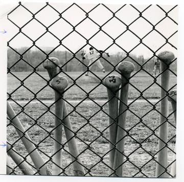 Close-up view of baseball bats. A baseball game is being played in the background.