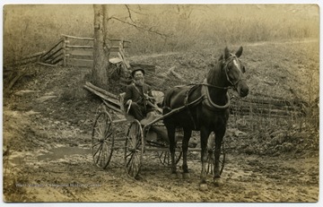 Albright mail man delivers mail by a horse drawn carriage.