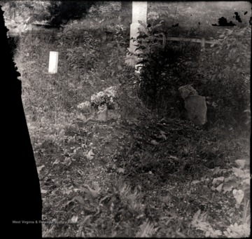 A view of grave site with a few head stones.