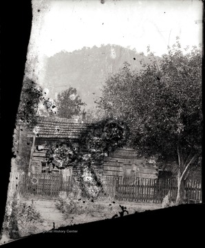 A view of wooden house and surrounding fence by a fruit tree.