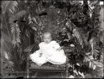 A portrait of infant in wicker chair set in backyard foliage.