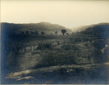 Crops growing on farm at the state prison in Marshall County