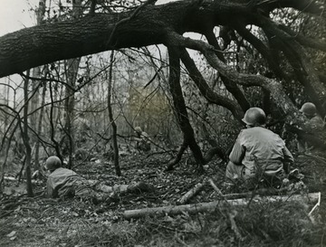 A series of intense battles were fought here between the U.S. and German force from 1944/09/19 to 1945/02/10, over barely 50 sq mi. east of the Belgian&#x2013;German border.