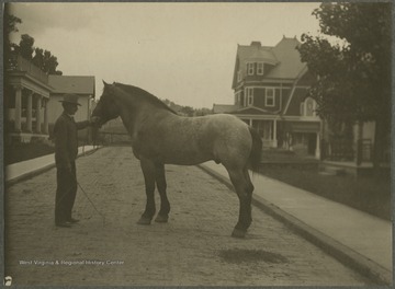 To the right is the house of Senator McDermott, which was later torn down to become what is now the parking lot of Hotel Morgan. To the left is the site of Hastings Funeral Home. 