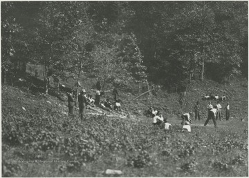 Players and spectators on the field. Subjects unidentified. 