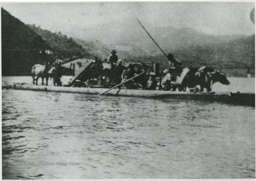 Workers move to steady the ferry as it approaches its destination while passengers standby with their livestock. Subjects unidentified.