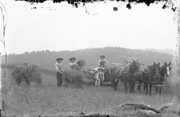 Young boy stands beside machinery holding the farm dog. No subjects are identified.