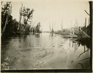 This image is part of the Thompson Family of Canaan Valley Collection. The Thompson family played a large role in the timber industry of Tucker Country during the 1800s, and later prospered in the region as farmers, business owners, and prominent members of the Canaan Valley community.This scene is located above the Dam two miles above Davis, W. Va.