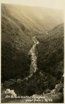 This image is part of the Thompson Family of Canaan Valley Collection. The Thompson family played a large role in the timber industry of Tucker Country during the 1800s, and later prospered in the region as farmers, business owners, and prominent members of the Canaan Valley community. 