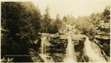 This image is part of the Thompson Family of Canaan Valley Collection. The Thompson family played a large role in the timber industry of Tucker County during the 1800s, and later prospered in the region as farmers, business owners, and prominent members of the Canaan Valley community.