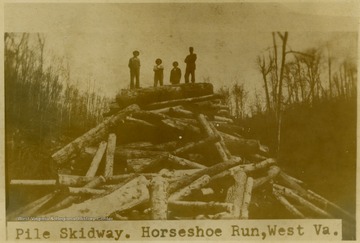 This image is part of the Thompson Family of Canaan Valley Collection. The Thompson family played a large role in the timber industry of Tucker County during the 1800s, and later prospered in the region as farmers, business owners, and prominent members of the Canaan Valley community.