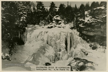 This image is part of the Thompson Family of Canaan Valley Collection. The Thompson family played a large role int he timber industry of Tucker County during the 1800s, and later prospered in the region as farmers, business owners, and prominent members of the Canaan Valley community. 