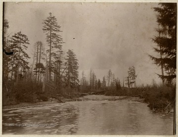 This image is part of the Thompson Family of Canaan Valley Collection. The Thompson family played a large role in the timber industry of Tucker County during the 1800s, and later prospered in the region as farmers, business owners, and prominent members of the Canaan Valley community.