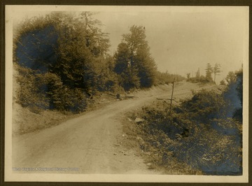 This image is part of the Thompson Family of Canaan Valley Collection. The Thompson family played a large role in the timber industry of Tucker County during the 1800s, and later prospered in the region as farmers, business owners, and prominent members of the Canaan Valley community.