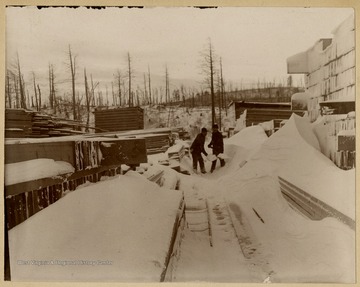 The Blackwater Boom and Lumber Company ran until 1907, when Babcock Lumber and Boom Company from Pittsburgh, Pennsylvania bought the mill.This image is part of the Thompson Family of Canaan Valley Collection. The Thompson family played a large role in the timber industry of Tucker County during the 1800s, and later prospered in the region as farmers, business owners, and prominent members of the Canaan Valley community.