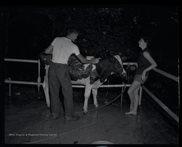 A young man and woman laugh as they wash the cow. 