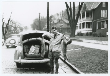 A man stands at the trunk of a car and holds up two dead foxes.  Inscription on reverse says photo is from VE Day 1945.