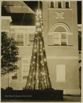 Decorations resembling a Christmas tree sit in the courtyard.