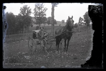 An unidentified man holds onto what appears to be a liquor bottle as he sits in a horse-drawn carriage. 