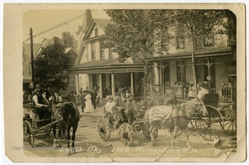 A pony pulls a cart festooned with flowers up a residential street lined with spectators. 