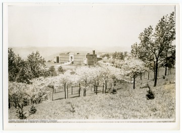 A view of the old University High School, located at the top of North Price Street. The building now houses Mountaineer Middle School.