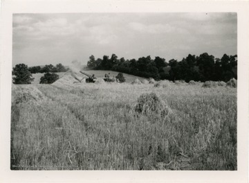 Thrasher machine and baling machine in background.