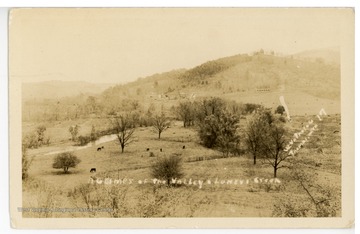 Luney's Creek is located near the town of Petersburg in Grant County, W. Va. 