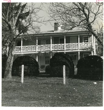 Located in Jumping Branch, W.Va.Features bowxwood bushed from China.The farm belonged to: Joseph Deeds, Wiliam De Russic Deeds, Thomas Marvin deeds, Gary Marvin Deeds, and Wellington Deeds.